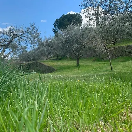 Podere San Biagio Apartment Bagni San Filippo