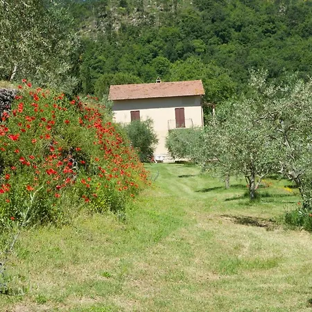 Podere San Biagio Apartment